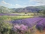 provenzale