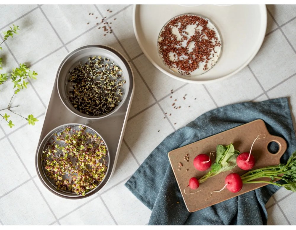 Set di piatti color crema in gres 12 pz Malia - Bonami Selection