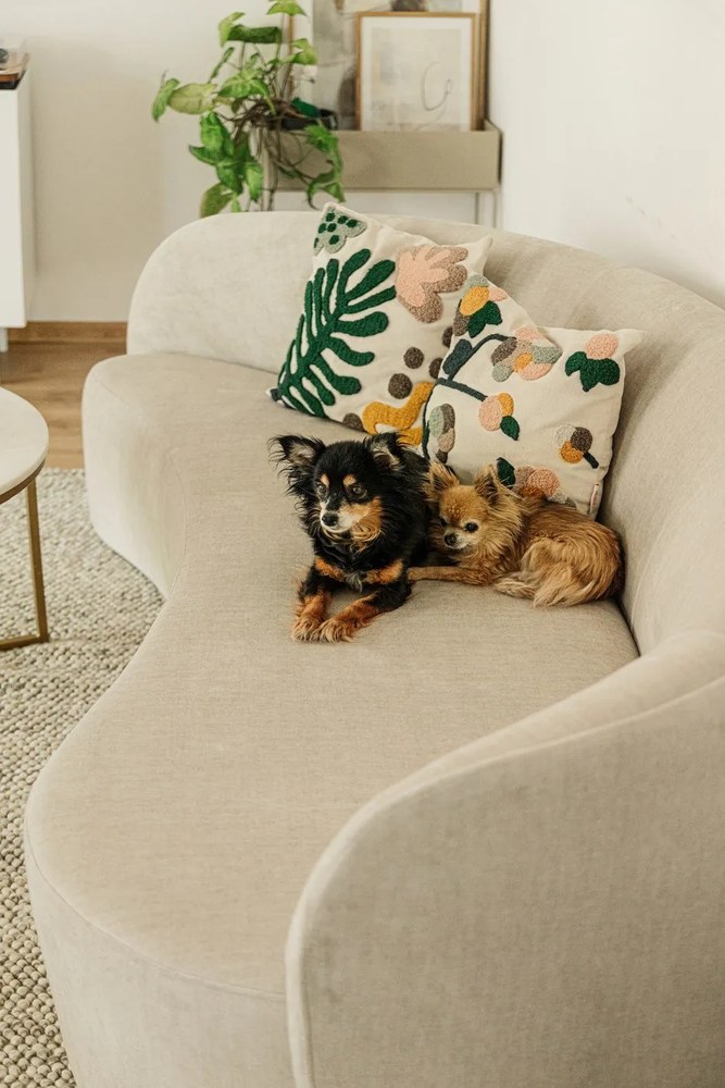 Tappeto in lana grigio chiaro 160x230 cm Minerals - Flair Rugs