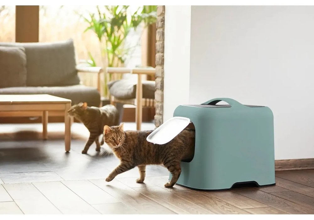 Lettiera per gatti 40x51 cm Biala - Rotho