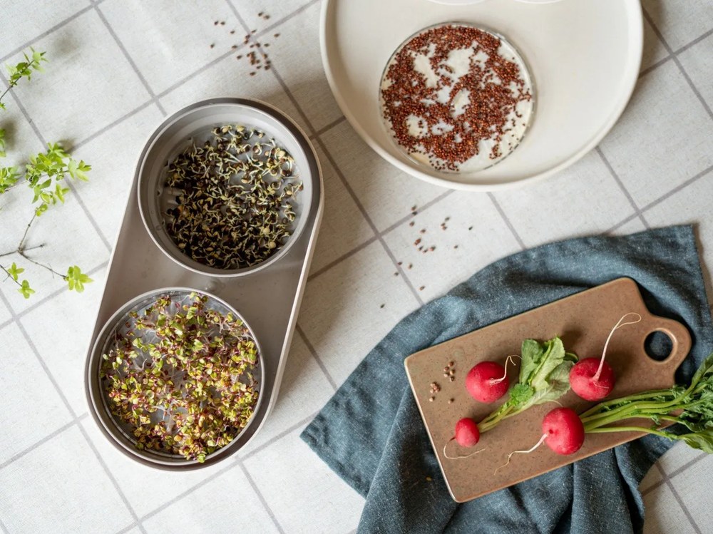 Set di piatti color crema in gres 12 pz Malia - Bonami Selection