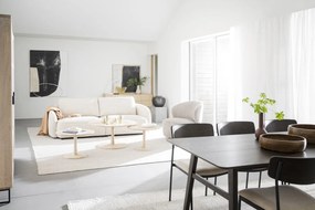 Sedie da pranzo color crema e marrone scuro in un set di 2 pezzi Maymont - Rowico