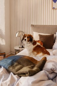 Letto matrimoniale imbottito grigio tortora con contenitore e rete inclusi 180x200 cm Myra Pillow – Bonami Selection