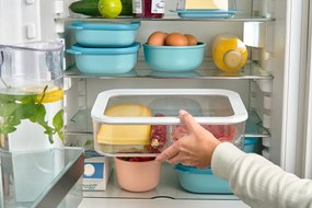 Contenitore per alimenti Modula White – Mepal