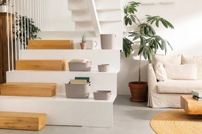 Cestino in plastica 38x29x14 cm Softex - Curver