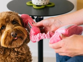 Telefono giocattolo per cani - P.L.A.Y.