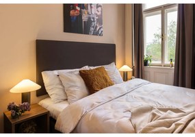 Cuscino decorativo 60x60 cm Dolly - Tiseco Home Studio