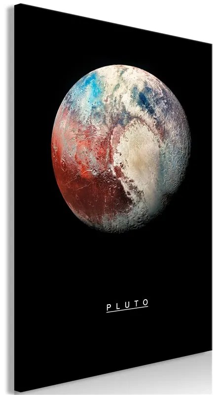 Quadro  Pluto (1 Part) Vertical  Colore Bianco, Dimensioni e Misure 60x90