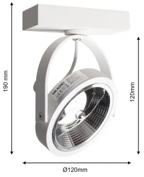 Luce Spot da parete a LED LUGAR 1xAR111 - GU10/25W/230V