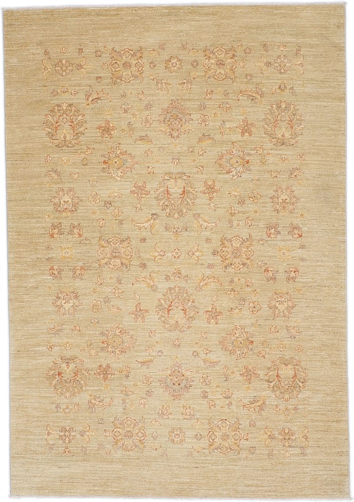 Tappeto orientale 170x240 (Afghanistan) Annodato A Mano