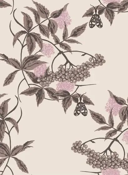 Ailanto Carta da parati Sambuco - Coffee & Pink