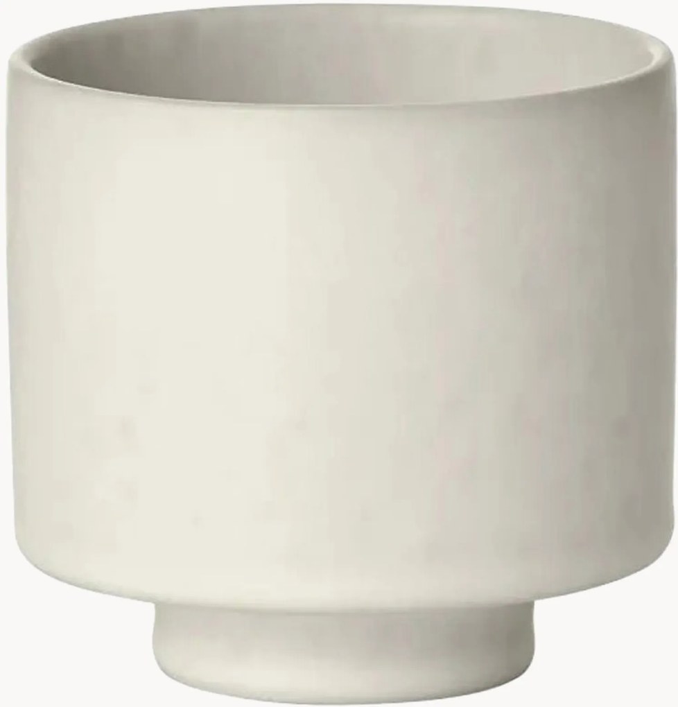 Tazza Makoto