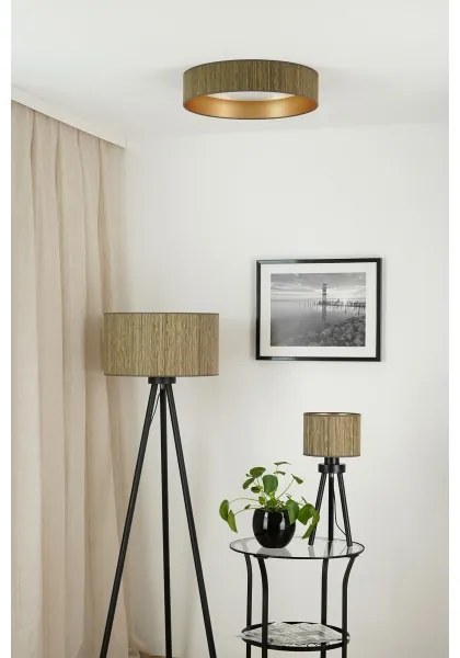 Brilagi - Lampada dimmerabile a LED VEGAS SHINE LED/24W/230V marrone/oro + telecomando