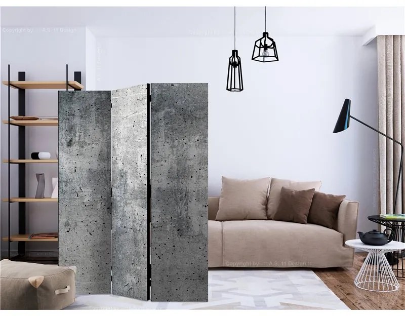 Paravento Fresh Concrete [Room Dividers]