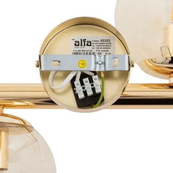 Lampadario a plafone ERAL 2xE14/40W/230V