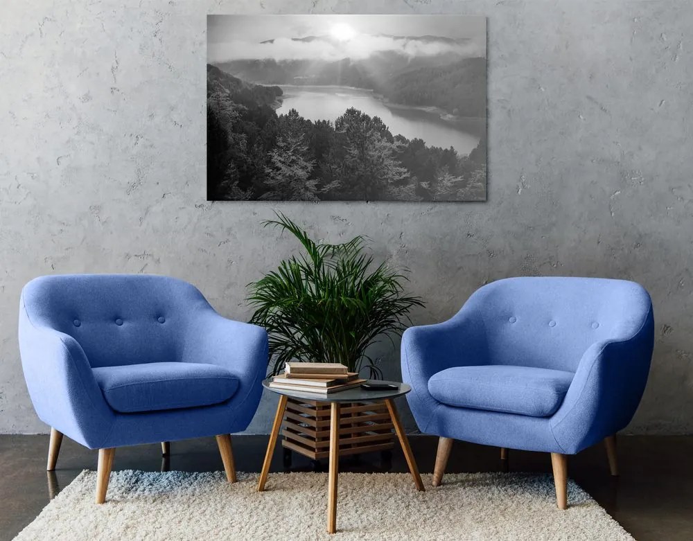 Quadro su tela – Fiume nel mezzo della foresta in bianco e nero