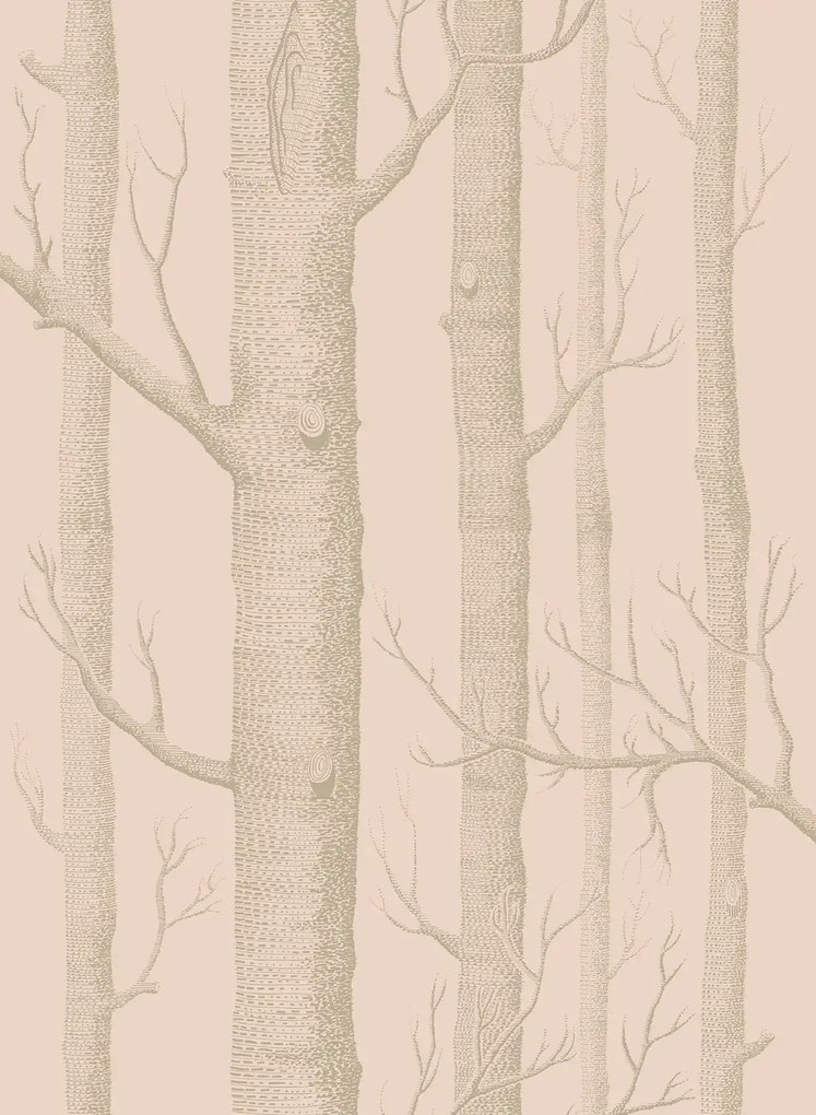 Cole & Son Carta da parati New Woods - Pink/ Gilver