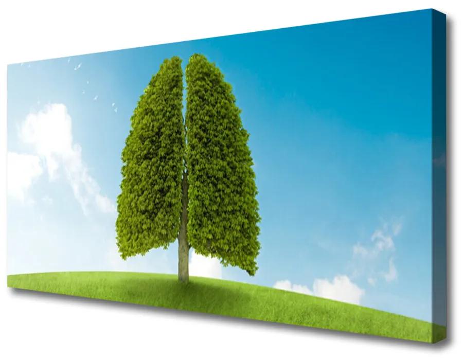 Quadro su tela Erba, albero, polmoni, natura 100x50 cm