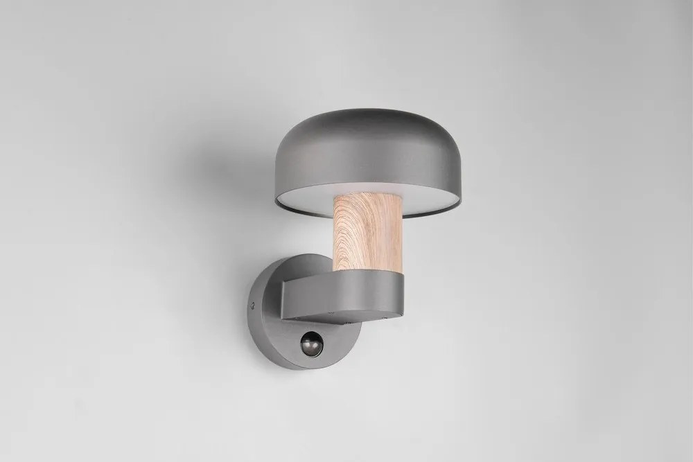 Illuminazione esterna con sensore di movimento da parete (altezza totale 24,5 cm) Fraser – Trio