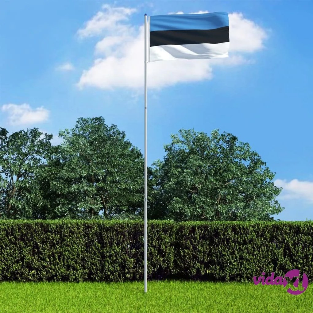 vidaXL Bandiera dell'Estonia con Pennone in Alluminio 6 m