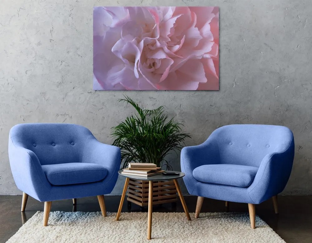 Quadro su tela – Petali di garofano