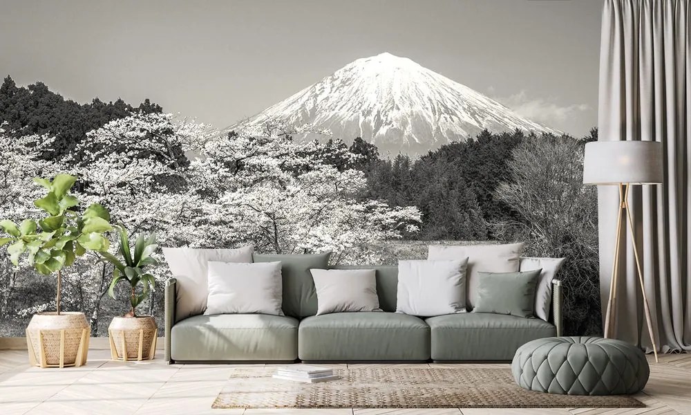 Carta da parati autoadesiva – Monte Fuji in bianco e nero