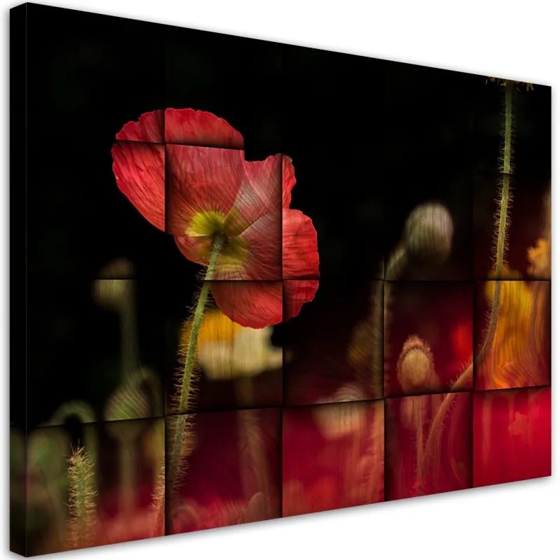 Quadro su tela, Fiore di papavero rosso  Dimensioni 60x40