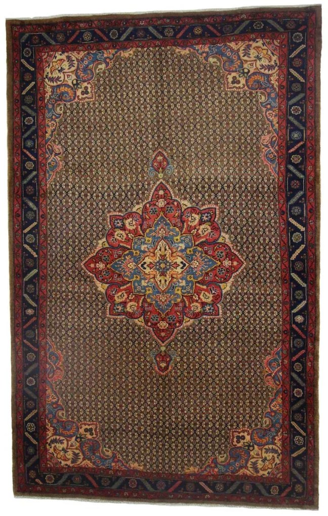 Lilian Tappeto persiano 320 x 210 (Iran)
