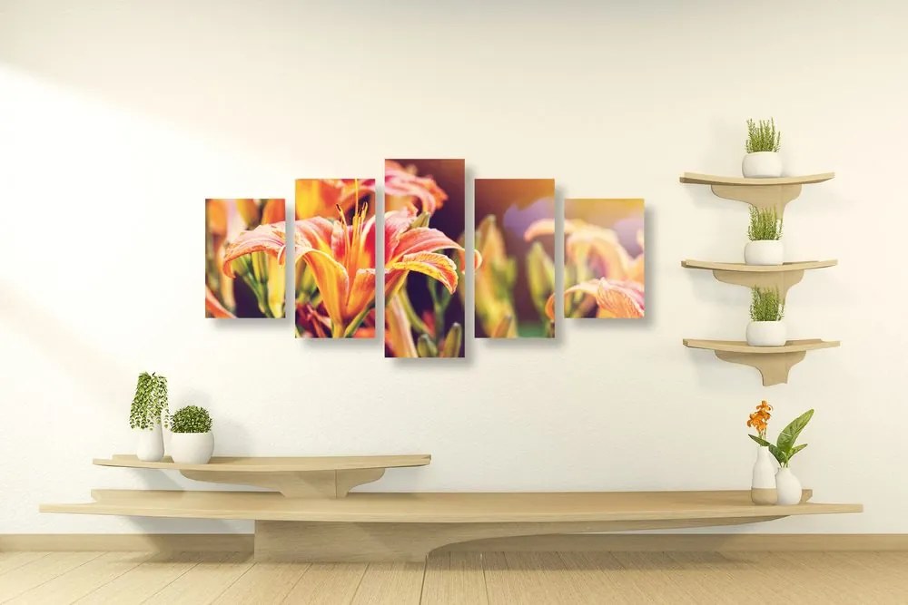 Quadri 5 pezzi – Bellissimi fiori in giardino
