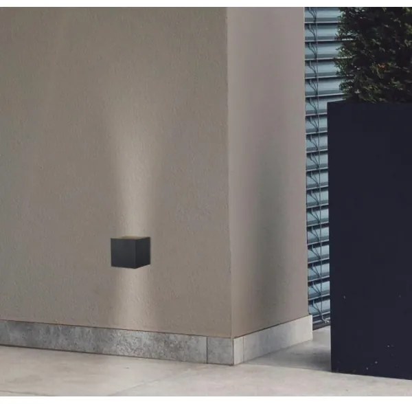 Westinghouse 61149 -Applique a LED da esterno FREYA 2xLED/4,5W/230V IP44 nero