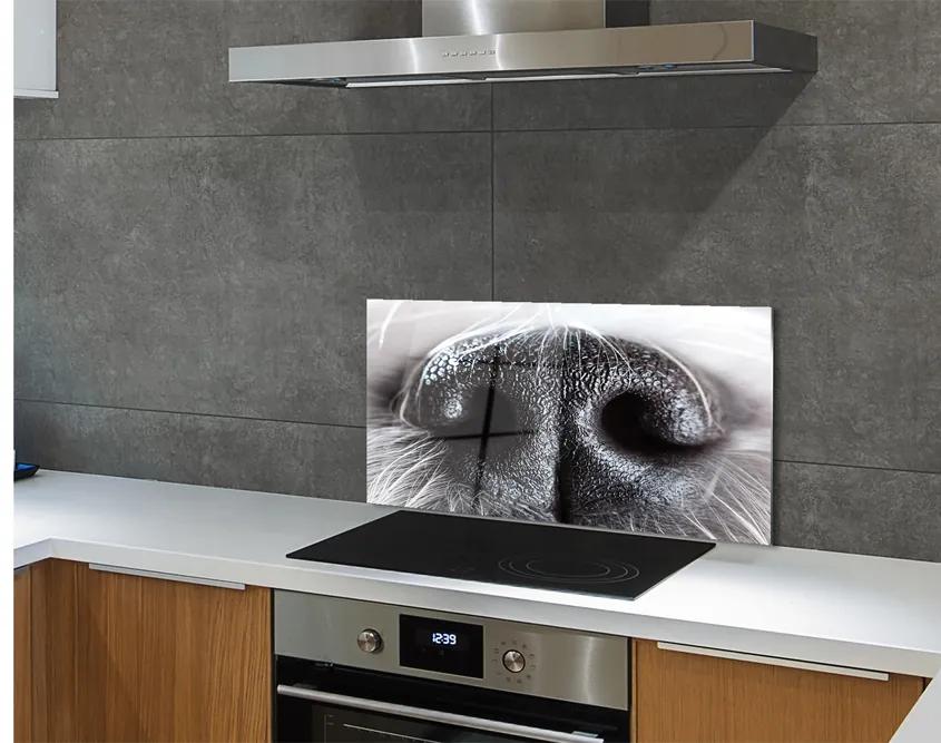 Rivestimento parete cucina Il naso del cane 100x50 cm