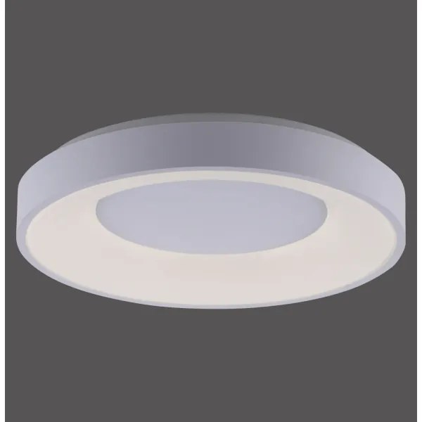 Leuchten Direkt 14326-16 - Lampada LED dimmerabile ANIKA LED/30W/230V + T