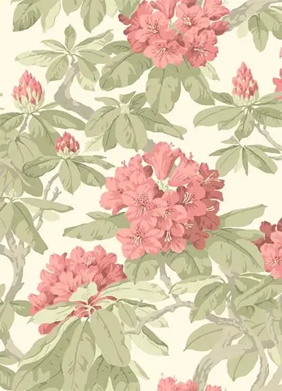 Cole & Son Carta da parati Bourlie - Coral