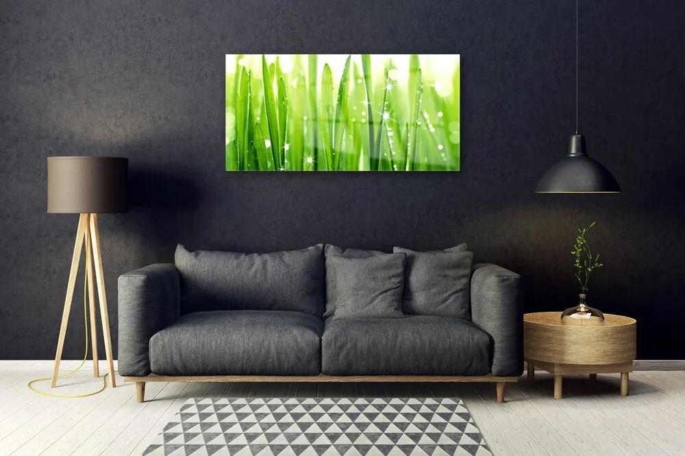 Quadro acrilico Erba, piante, natura 100x50 cm