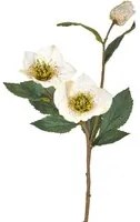 Set 12 Pianta Artificiale di Helleborus Rosa Altezza 56 cm Bianco