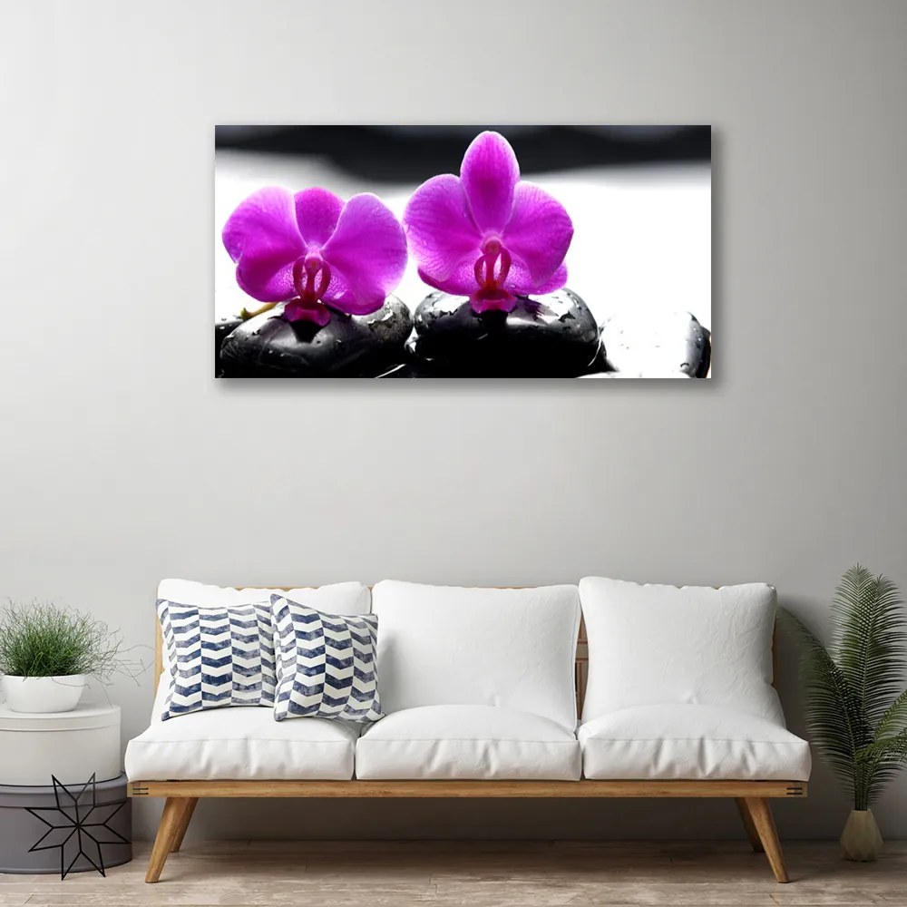 Quadro su tela Fiori di orchidea della natura 100x50 cm