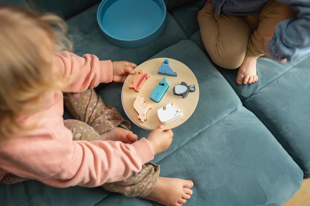 Scatola Animali da inserire