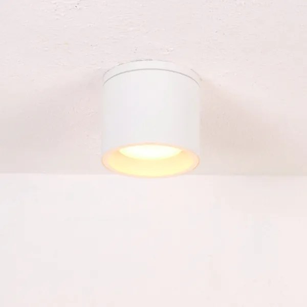 Globo 32063W - Plafoniera da esterno ALCALA 1xGX53/11W/230V IP44