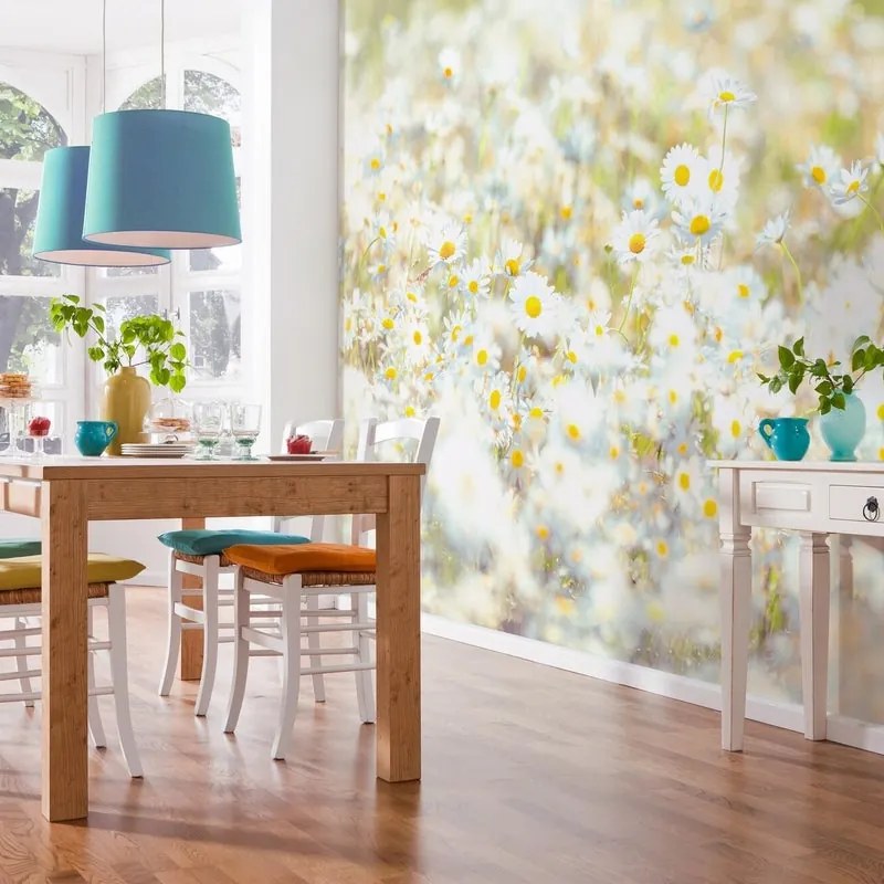 Fotomurale KOMAR Daisies, Multicolore 368X254 cm