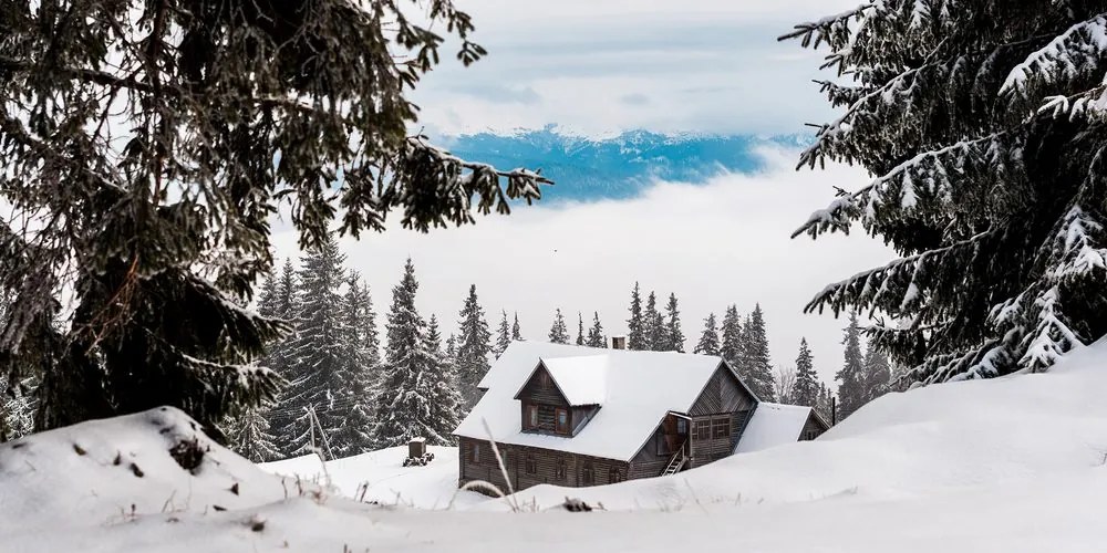 Stampa su tela – Casetta di legno tra pini innevati