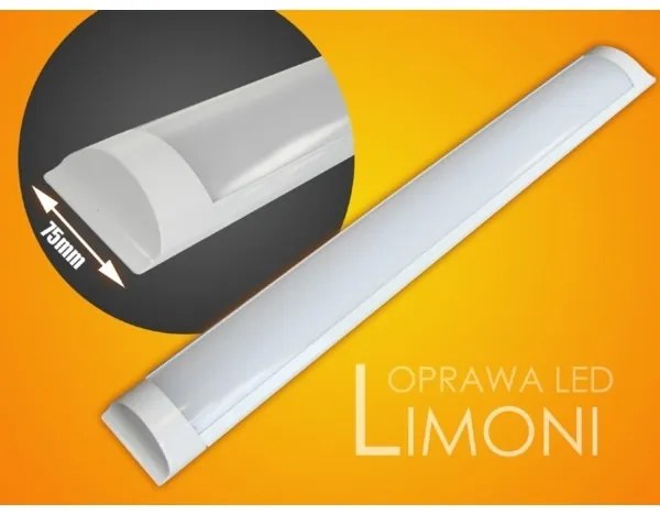 Lampada LED sottopensile LIMONI LED/40W/230V 3000K 120 cm