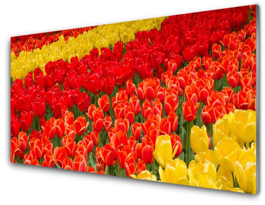 Rivestimento parete cucina Fiori di tulipani 140x70 cm