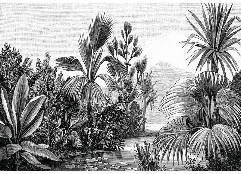 Fotomurale Paesaggio tropicale, bianco e nero