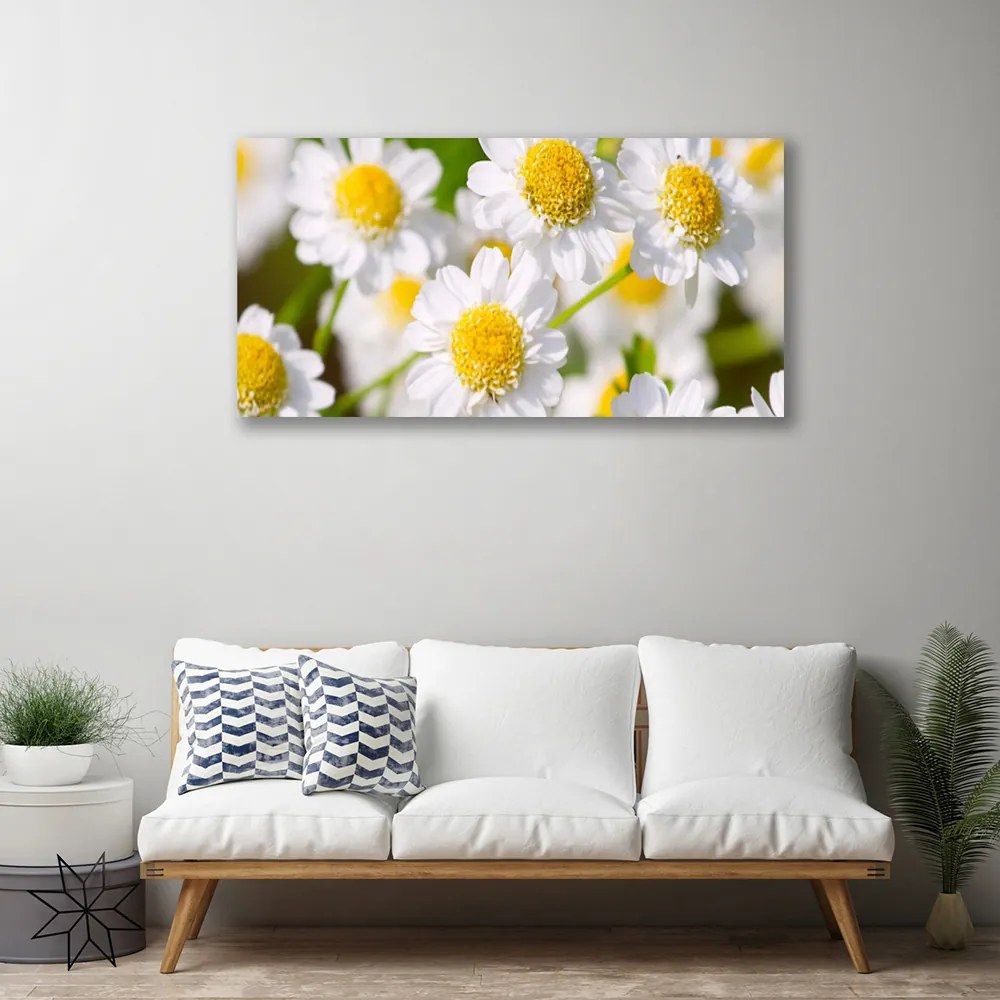 Quadro su tela Fiori della margherita della natura 100x50 cm