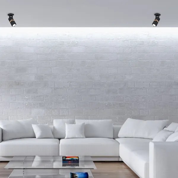 Luce Spot VIDAR 1xGU10/25W/230V nero