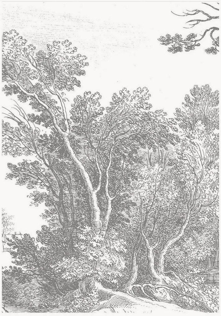 Carta da parati in tessuto non tessuto Engraved Landscapes V