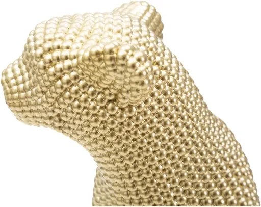 Leopardo Gold Cm 23X15,5X29