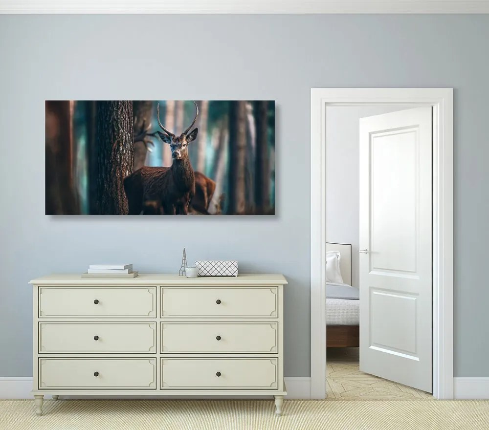 Quadro su tela – Cervo nel bosco