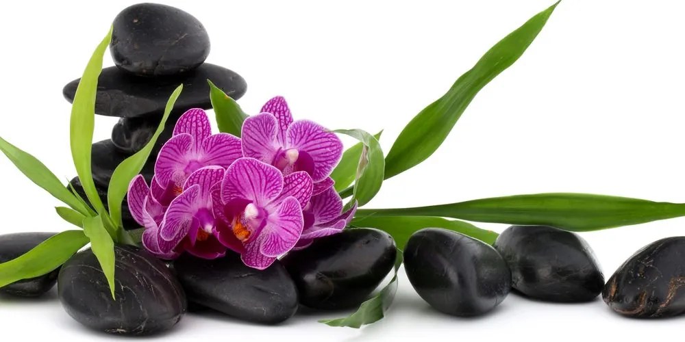 Stampa su tela – Orchidea viola in natura morta Zen