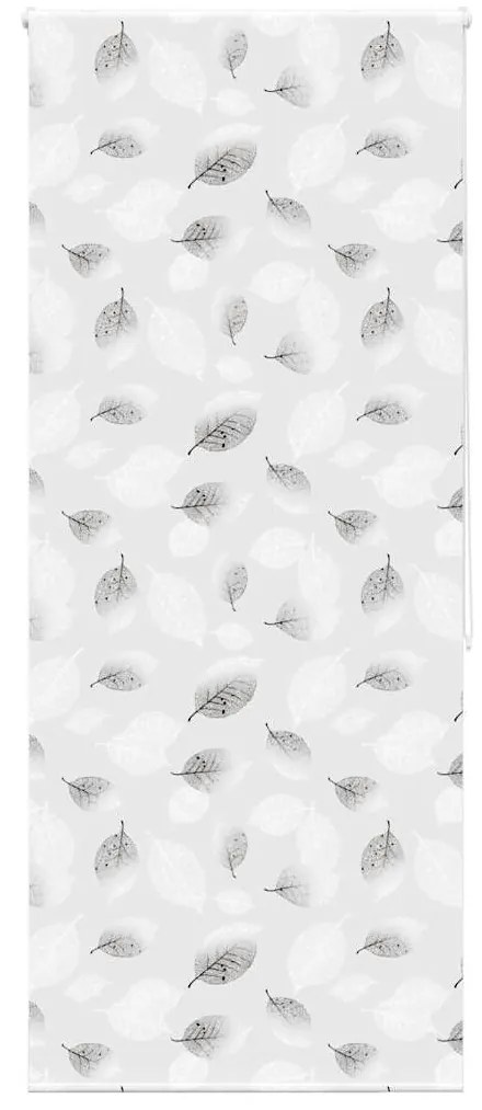 Tenda A Rullo Doccia 100x240 Cm Larghezza Tessuto 96 Cm /